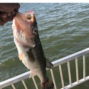 Meet your Posher, Shawn